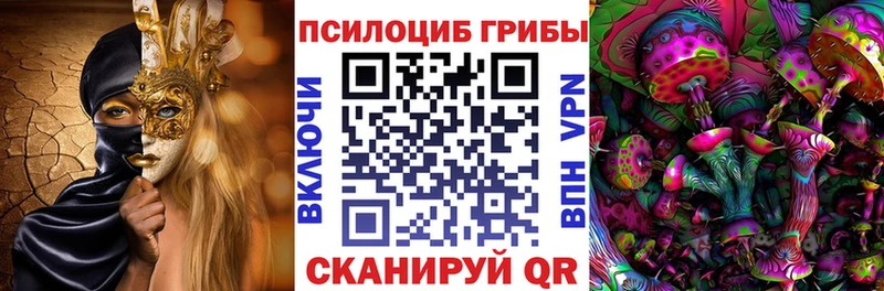 Псилоцибиновые грибы Cubensis  Трубчевск 